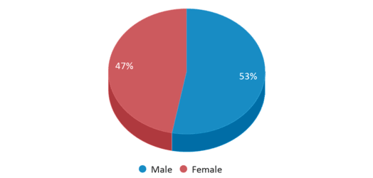 This pie chart depicts the gender distribution at Southside Middle School. This pie chart depicts the gender distribution at Southside Middle School.